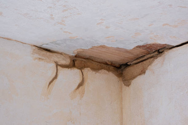 Best Emergency water damage restoration  in Maud, TX