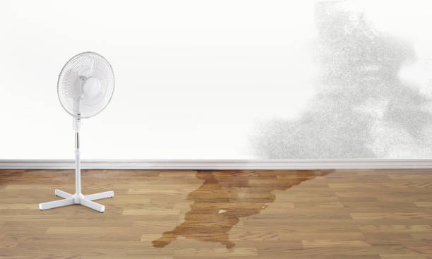 Best Flood restoration services  in Maud, TX