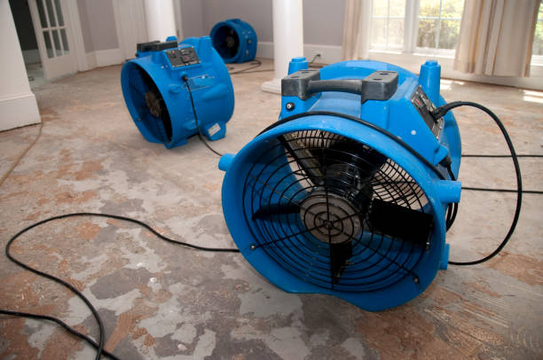 Best Commercial water damage restoration  in Maud, TX