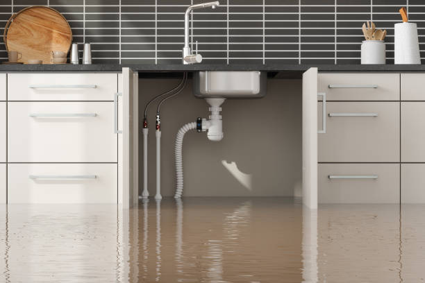 Best Local water damage restoration  in Maud, TX