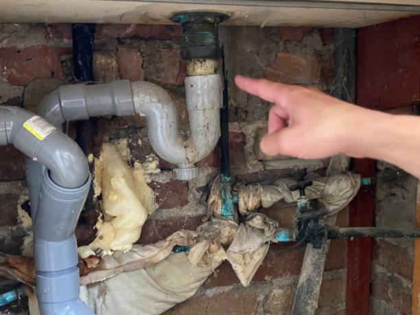 Best Carpet water damage restoration  in Maud, TX