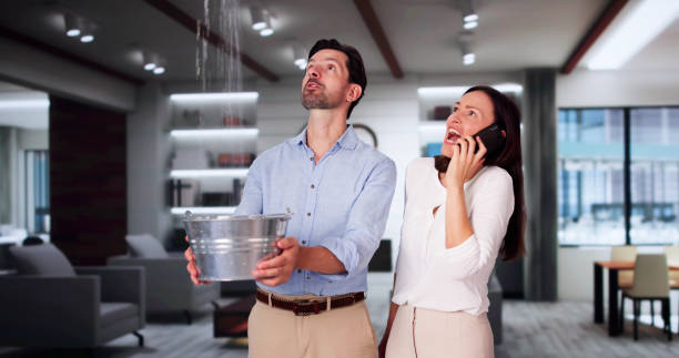 Best 24-hour water damage restoration  in Maud, TX